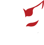 Dark Cat sex shop